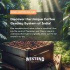 Understanding the Traditional Grades of Indian Coffee